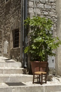 passeggiate1-3