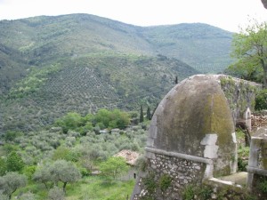 mini-IMG_0370