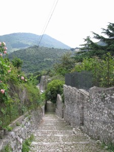 mini-IMG_0396